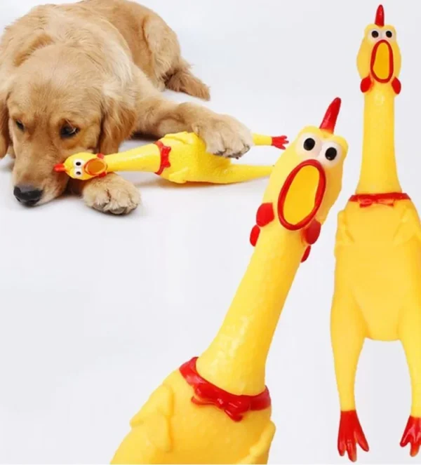 GALO 40CM - Imagem 3
