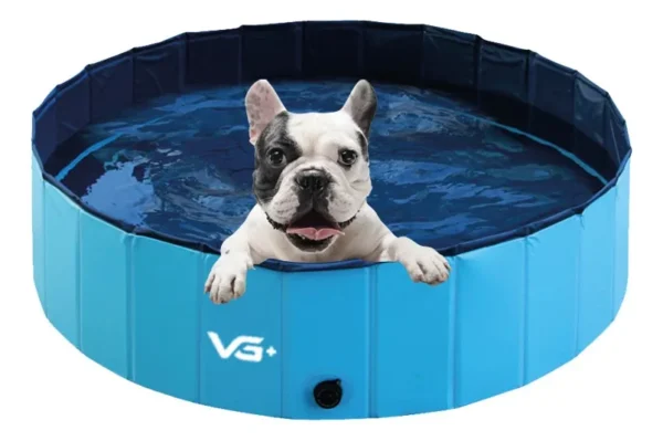 Piscina Para Pet COR:Azul