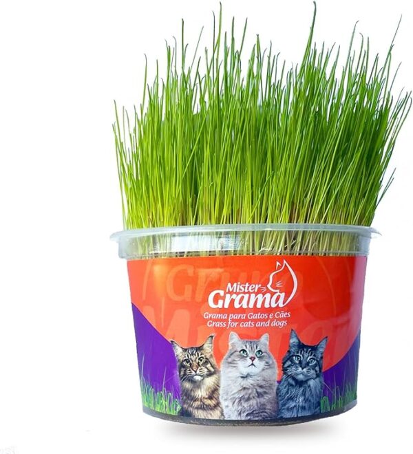 Mister Grama