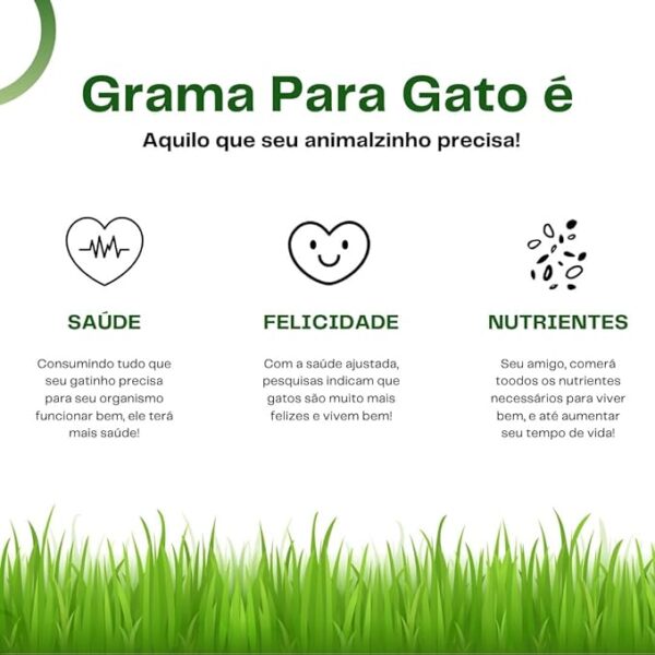 Mister Grama - Imagem 4
