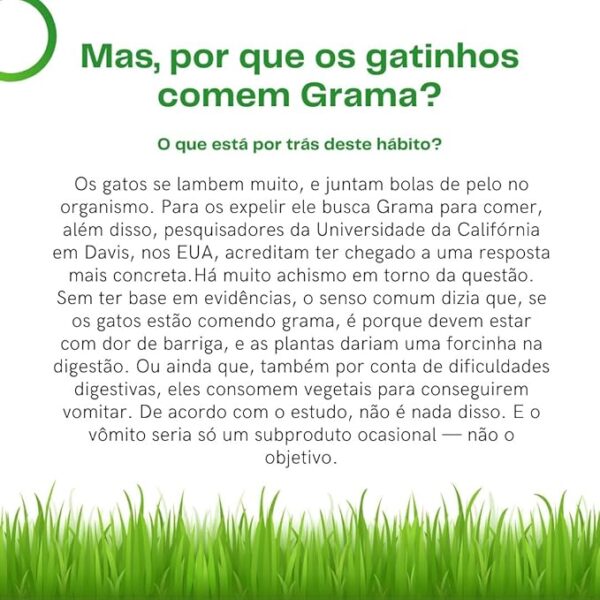 Mister Grama - Imagem 5