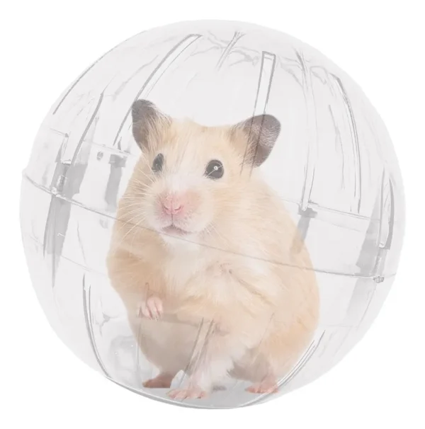GLOBO PARA HAMSTER - Imagem 2
